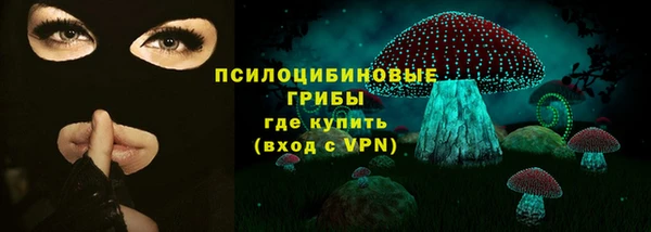 гашик Белокуриха