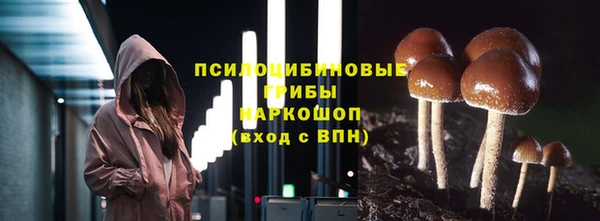 таблы Богданович