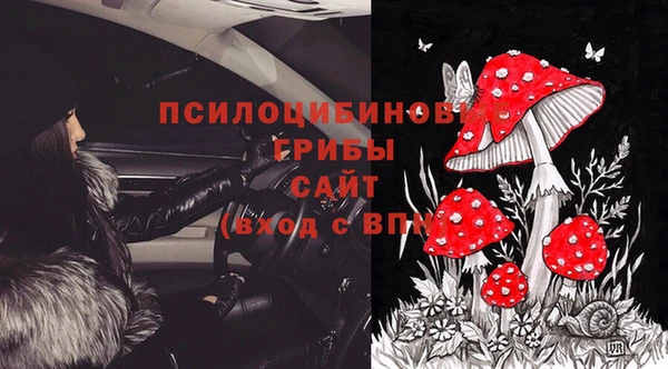 МДМА Бородино