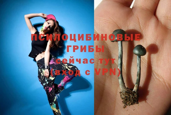 МДМА Бородино