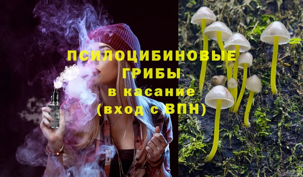 ALPHA-PVP Бугульма