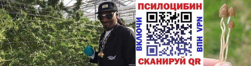 Псилоцибиновые грибы мухоморы  Высоцк 